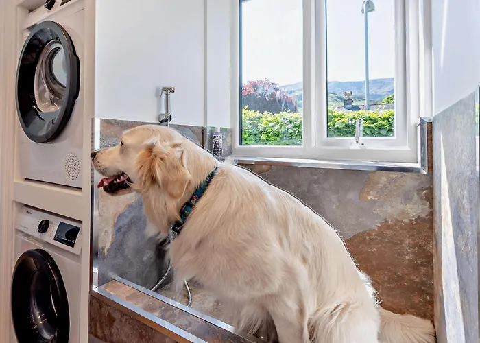 度假居 4 Bed In 94705 *